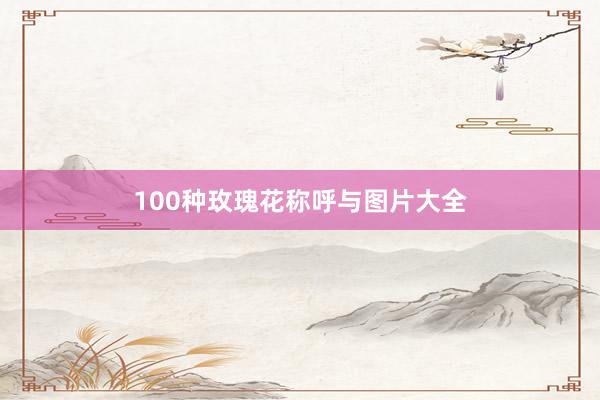 100种玫瑰花称呼与图片大全