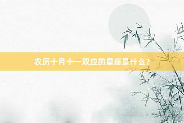 农历十月十一双应的星座是什么？