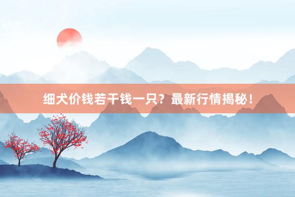 细犬价钱若干钱一只？最新行情揭秘！