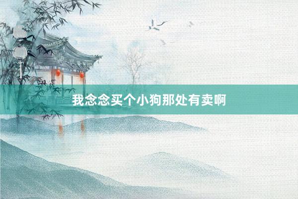 我念念买个小狗那处有卖啊