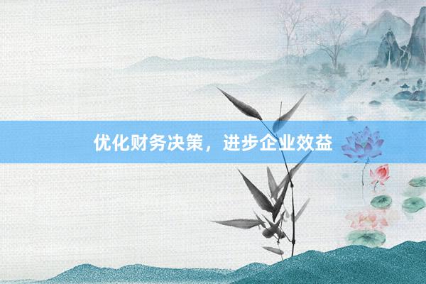 优化财务决策，进步企业效益