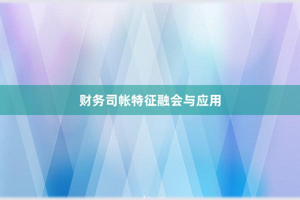 财务司帐特征融会与应用